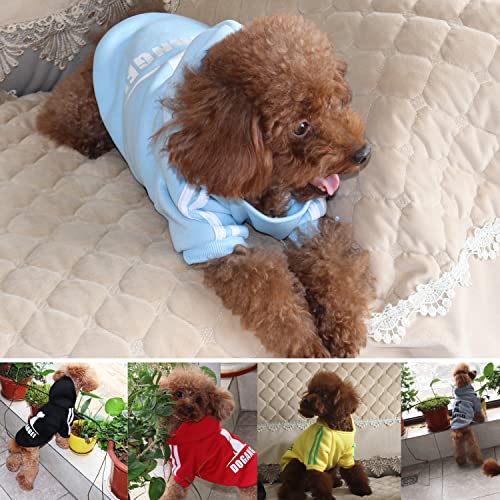 PenghaiYunfei Ropa Perro,Cálido Sudadera con Capucha para Perros Algodón Suéter Chaqueta Abrigo Costume Pullover para Mascota Pequeño Perro Gato (Azul Claro, Medium)