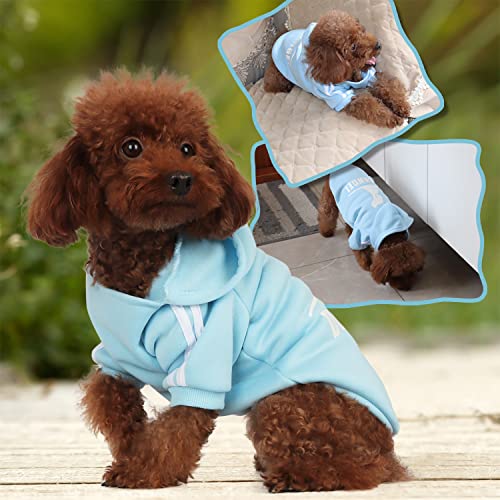 PenghaiYunfei Ropa Perro,Cálido Sudadera con Capucha para Perros Algodón Suéter Chaqueta Abrigo Costume Pullover para Mascota Pequeño Perro Gato (Azul Claro, Medium)