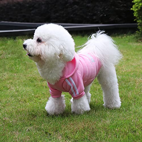 PenghaiYunfei Ropa Perro,Cálido Sudadera con Capucha para Perros Algodón Suéter Chaqueta Abrigo Costume Pullover para Mascota Pequeño Perro Gato (Rosado, X-Large)