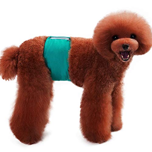 Perro Bragas Sanitarias Pañal Ropa Interior: 2 Unids Pista de Ropa Interior Pañal para Perros Masculinos Pantalones Fisiológicos Pantalones de Menstruación Foros Verde