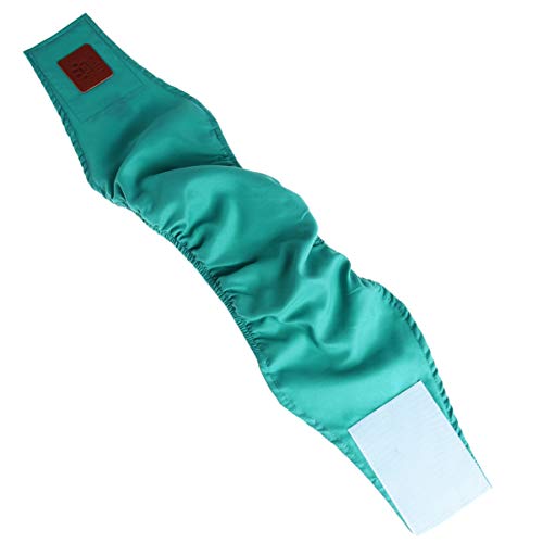 Perro Bragas Sanitarias Pañal Ropa Interior: 2 Unids Pista de Ropa Interior Pañal para Perros Masculinos Pantalones Fisiológicos Pantalones de Menstruación Foros Verde