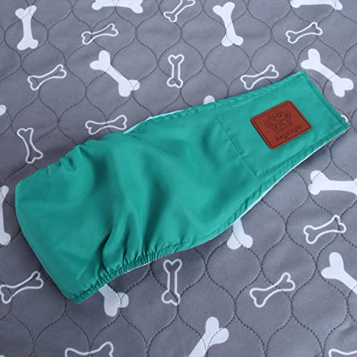 Perro Bragas Sanitarias Pañal Ropa Interior: 2 Unids Pista de Ropa Interior Pañal para Perros Masculinos Pantalones Fisiológicos Pantalones de Menstruación Foros Verde