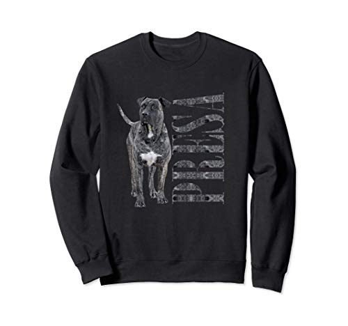 Perro de Presa Canario - Dogo Canario Sudadera