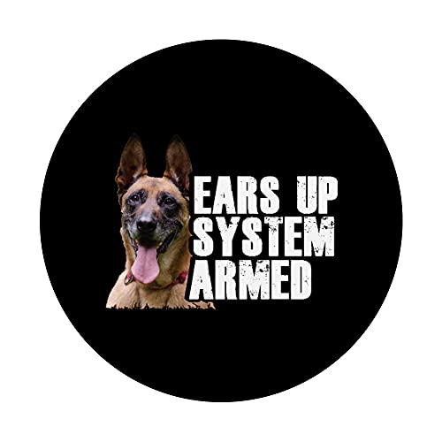 Perro pastor belga I Mechelaar I Malinois PopSockets PopGrip Intercambiable