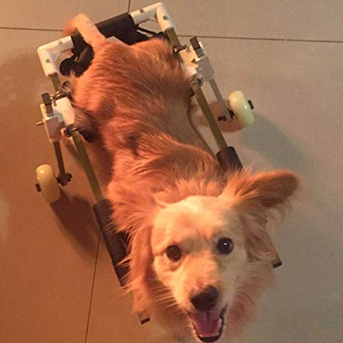 Perro Silla de Ruedas - Perro Silla de Ruedas en Patas traseras - Las piernas traseras de Rehabilitación, del Vientre, sin Banda Proteger la Espina Dorsal, Correa Gratuito