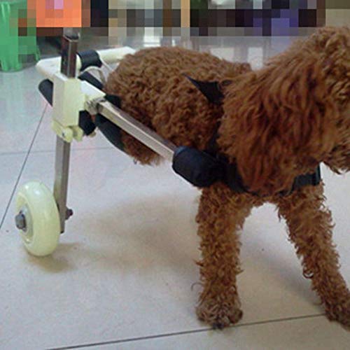 Perro Silla de Ruedas - Perro Silla de Ruedas en Patas traseras - Las piernas traseras de Rehabilitación, del Vientre, sin Banda Proteger la Espina Dorsal, Correa Gratuito