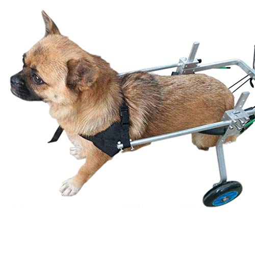 Perro Silla de Ruedas - Perro Silla de Ruedas en Patas traseras - Las piernas traseras de Rehabilitación, del Vientre, sin Banda Proteger la Espina Dorsal, Correa Gratuito