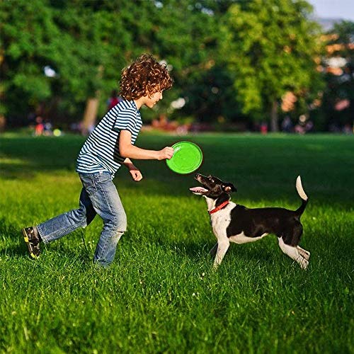 Perros interactivos Frisbee,2 Piezas Frisbee Perro,Juguete de Disco Volador para Perro,Frisbee de Goma,Disco para Perros,Frisbee para Mascotas,para Entrenar,Lanzar,Atrapar y Jugar(Rosa,Verde)