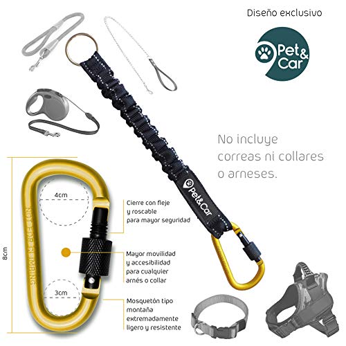 PET & CAR Correa Perro Extensible elástica Correa adiestramiento. Antitirones Evita Lesiones de Perro Grande y pequeño. Compatible con tu Correa.