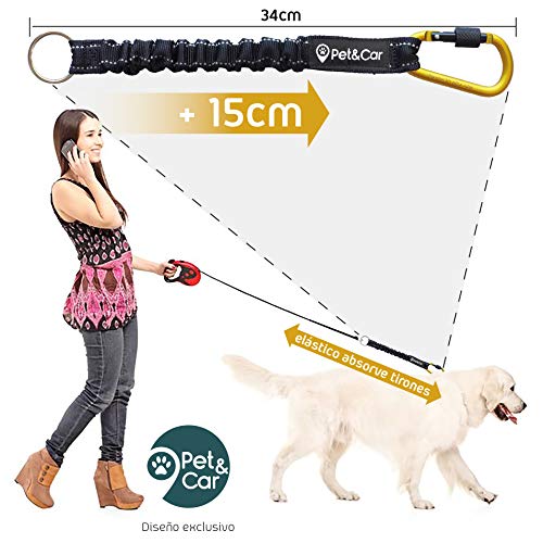 PET & CAR Correa Perro Extensible elástica Correa adiestramiento. Antitirones Evita Lesiones de Perro Grande y pequeño. Compatible con tu Correa.