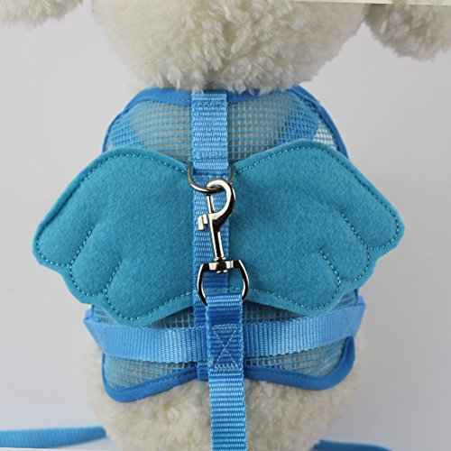 Pet Online Arnés de perro con malla transpirable de Alas de Angel Pet Protector Chaleco arnés para perros pequeños,Blue,S