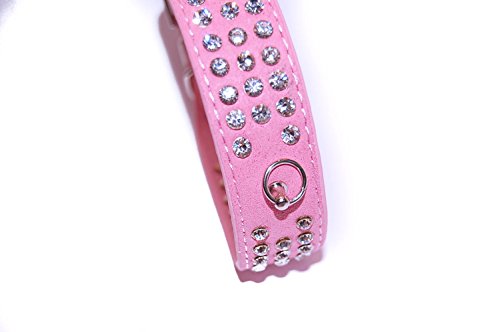 Pet Palace® "Debonair Doggy" Suede Diamante Studded Collar de lujo para perros de distinción VENTA TERMINA MEDIANTE NOCHE EL DOMINGO!