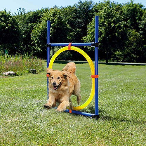 Pet Prime Mascotas Perros Juegos al aire libre Agilidad Equipo de Entrenamiento de Agilidad Kit de Inicio de Arro de Arro de B