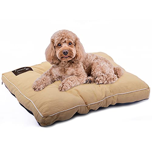 Petaccom-petking Cama para Perro Extra Grandes - Colchón para Mascotas Lavable Cojín Perros Suave y Antideslizante, Beige, XL, 118 x 78 x 15 cm