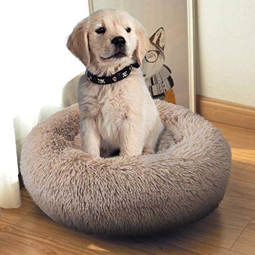 PETCUTE Cama Perro Grande Mediano Pequeños Cama Gato Lavable Suave Mascotas Calentito Cojín Invierno de Felpa