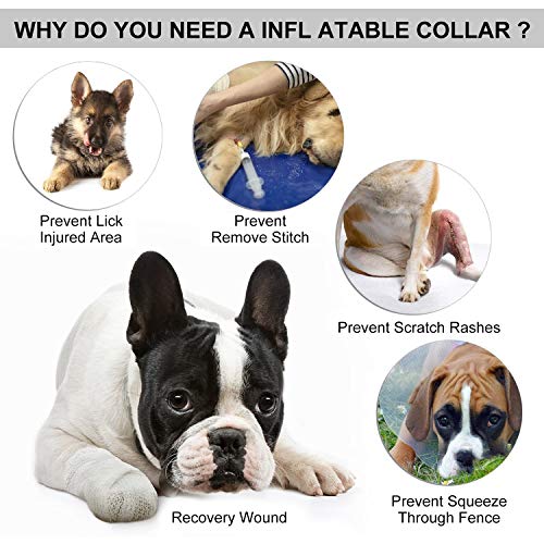 PETCUTE Conos De Mascotas Collarin Isabelino Collar de recuperación para Perros Ajustable para Cachorros Perros PequeñOs y Gatos RecuperacióN Collarines para Curar Protector Después de la Cirugía