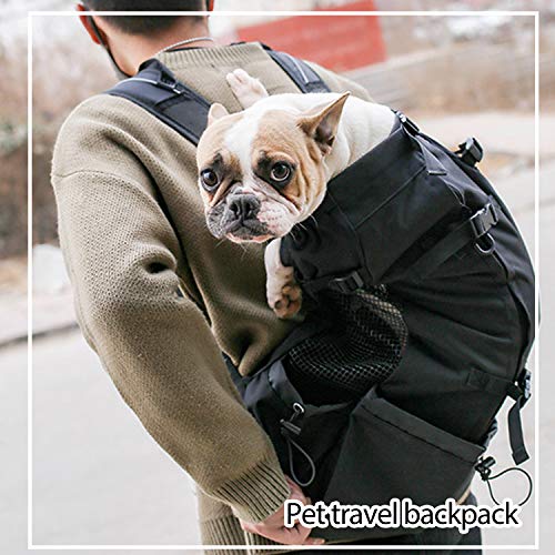 PETCUTE Mochila para Perros Bolsa transportin Perro Transpirable Transportar Perros Gatos Mascotas Mochila Portaperro Transportadoras Bolsa para Caminatas Portátil Viaje hasta 5kg