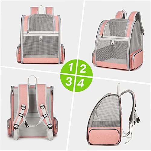 PETCUTE Transportin Gato,Plegable Mochilas para Gatos y Perro,Malla Completa Transpirable Bolsa Transporte con Estructura de Alambre, Transportin Estable para Viaje Aprobada por Aerolínea Rosa