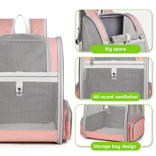 PETCUTE Transportin Gato,Plegable Mochilas para Gatos y Perro,Malla Completa Transpirable Bolsa Transporte con Estructura de Alambre, Transportin Estable para Viaje Aprobada por Aerolínea Rosa