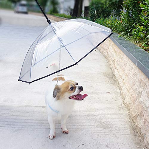 PETEMOO Perro Paraguas con Cuerda para hundegehen al Aire Libre (Nieve/Lluvia)