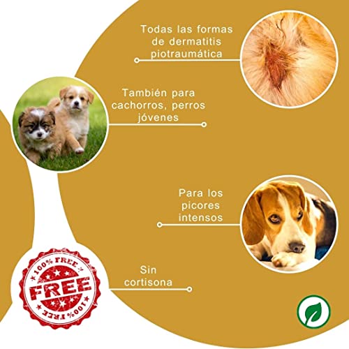 Peticare bálsamo de Cuidado para Hot-Spot para Perros - Cuida la Piel de Todo Tipo de Hot-Spots, Eczema, Alivia el picor, lamer, ungüento de Cuidado eficaz - petDog Health 2109