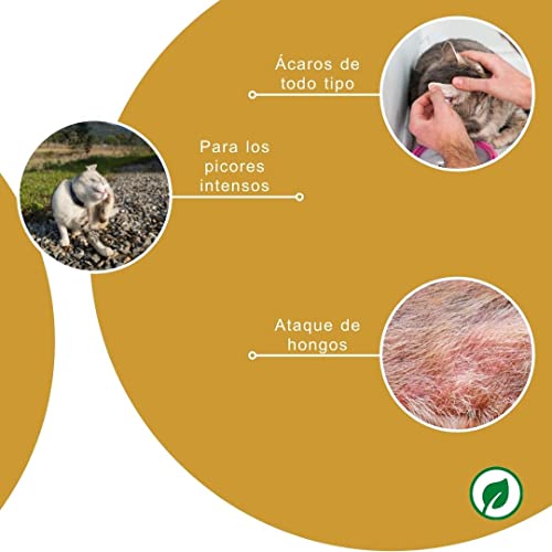 Peticare Gato Aceite de Cuidado Limpiador para Acaros del Oido y Anti-Parasitos - Gotas de Tratamiento, Limpia Eficazmente Orejas, Detiene Otitis Parasitaria - petCat Health 3011