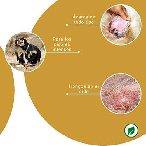 Peticare Perro Aceite de Cuidado Limpiador para Acaros del Oido y Anti-Parasitos - Gotas de Tratamiento, Limpia Eficazmente Orejas, Detiene Otitis Parasitaria - petDog Health 2108