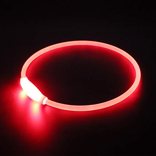 PetIsay Collar de Perro LED, USB Recargable Collar de Seguridad para Mascotas Impermeable hasta la Longitud de 70 cm (27.5in) Collar de Destello Ajustable (Rojo)