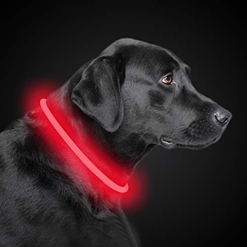 PetIsay Collar de Perro LED, USB Recargable Collar de Seguridad para Mascotas Impermeable hasta la Longitud de 70 cm (27.5in) Collar de Destello Ajustable (Rojo)