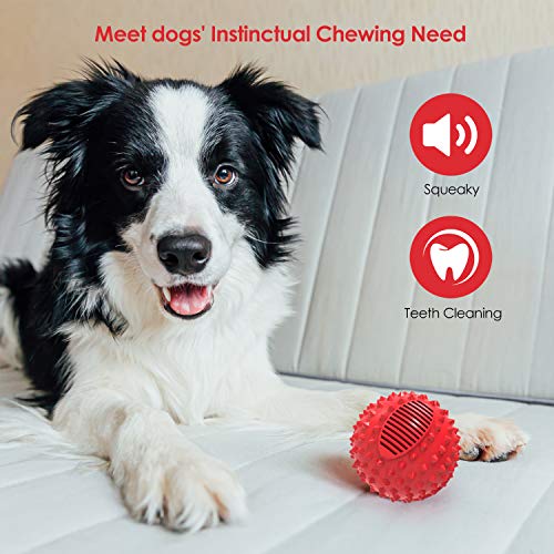 PETIZER Juguete de bola para perros Squeaky para masticar agresivo, indestructible, duradero, para perros grandes, masticar bolas con punta | Juguete de goma flotante para razas medianas y grandes