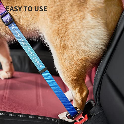 PETKIT Arnés de Seguridad para Perros/Gatos, Arnés de Seguridad para Perros Ajustable Arnés de Seguridad para Coche para Todas Las Razas de Perros Gatos& Tipos de Coche, Galaxia de Ilusiones.