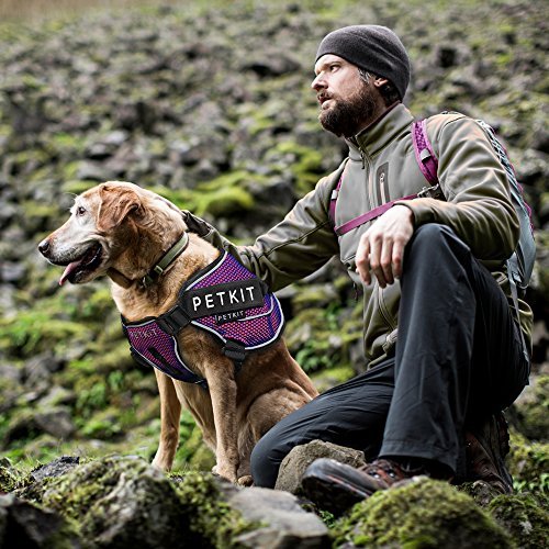 PETKIT Arnés reflectante para mascotas, de la marca, mango