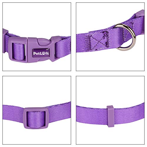 PETLOFT Collar de Perro, Especial Diseñado Tamaño Ajustable de Poliéster Superficie de Collares de Perro con Anilla en D de Metal para Fijación a la Correa (Púrpura, L)