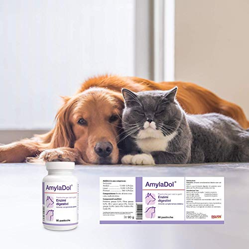 Pets Dolfos AmylaDol 90 comprimidos Enzimas digestivos Naturales: Amilasi, lipasos y Proteasas. Alimento complementario dietético en caso de trastornos digestivos de perros y gatos