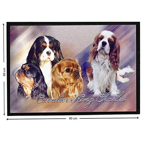 Pets-easy Cavalier King Charles sobre alfombra de suelo de perro de compañía