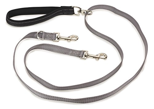 PetSafe Anti-Pull Dog Lead Control de Dos Puntos arnés 3 en 1 Reduce los tirones y enseña Buenos Modales con la Correa-Funciona con Perros y Cachorros, Reflective, Talla única