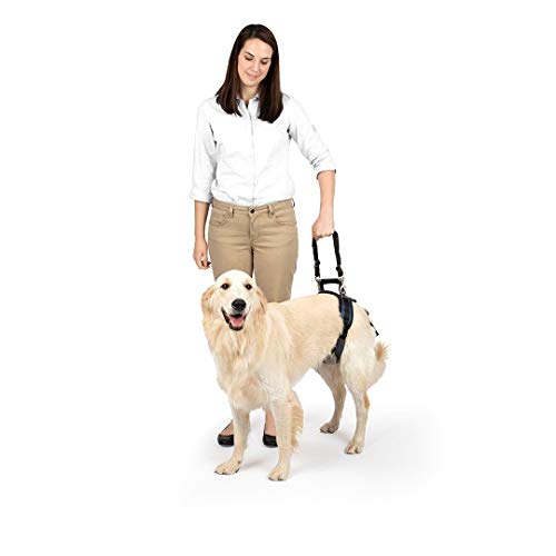 PetSafe Arnés de soporte trasero CareLift - Elevación con un asa y una correa para el hombro - Para perros discapacitados o ancianos - Material transpirable y cómodo - Ajuste fácil - Perro mediano