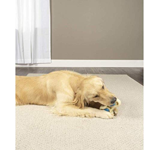 Petsafe Busy Buddy Forever Bone Dog Chew Toy Juguete para Morder, Medium