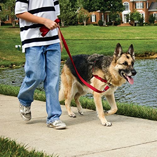 PetSafe Easy Walk Arnés para Perros pequeños/medianos/Grandes, pequeño, Rojo, 1,8 m de Plomo