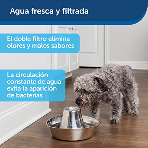 PetSafe Fuente Para Mascotas Inoxidable Costa Calma De, Capacidad De 1,8 Litros De Agua, Diseño Silencioso, Agua Filtrada, Anima A Las Mascotas A Beber Más Agua 1097 g