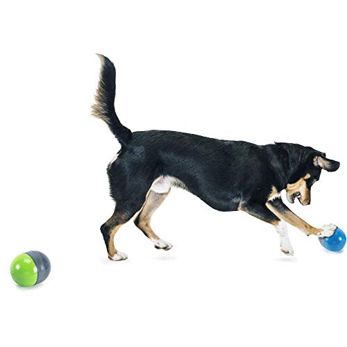 PetSafe Ricochet - Juguete Interactivo Electrónico para Perros, 2 Bolas, Estimulación Mental, Funciona con Batería