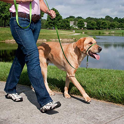 PetSafe Ronzal Easy Walk de - Pequeño, negro 213.19 ml