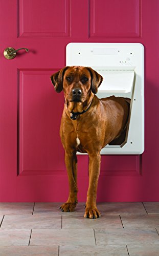 PetSafe SmartDoor - Puerta Electrónica para Perros, Grande, Entrada Selectiva con 3 Opciones de Acceso con SmartKey: Cerrado, Abierto o Automático, Programa hasta 5 Perros, Ahorro de Energía