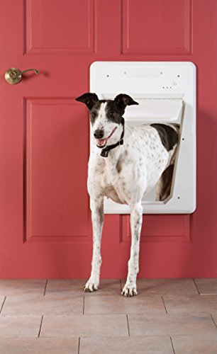 PetSafe SmartDoor - Puerta Electrónica para Perros, Grande, Entrada Selectiva con 3 Opciones de Acceso con SmartKey: Cerrado, Abierto o Automático, Programa hasta 5 Perros, Ahorro de Energía