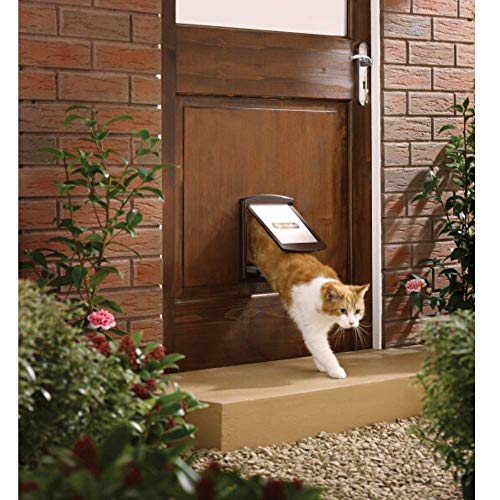 PetSafe, Staywell Original - Puerta para mascotas con dos posiciones, Marrón - M