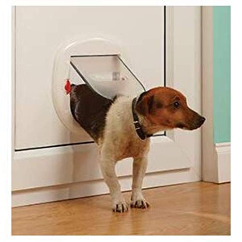 PetSafe Staywell - Puerta para Gatos, Gatera de Entrada y Salida, Puerta para Gatos y Perros Pequeños de hasta 10 kg, Resistente, Duradera, Esmerilada