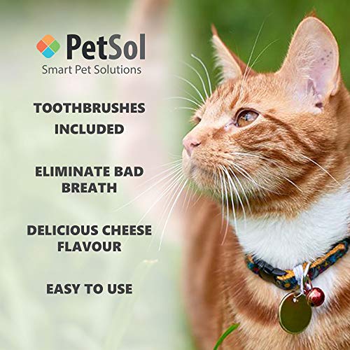 PetSol Kit de Cuidado Dental para Perros (Mejora la higiene bucal previene la Enfermedad de Las encías y la Placa) Kit Dental para Gatos