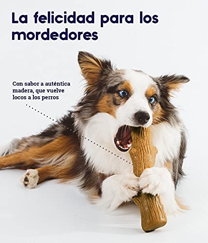 Petstages Dogwood - Juguete con forma de palo de madera para perros - Para morder - M