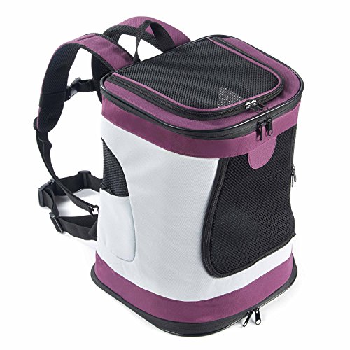 PETTOM Mochila para Perro Gatos Conejo Transpirable Plegable Pet Backpack para Mascotas de Peso hasta 8 kg Transportín con Fondo Rígido Viaje Aero Tren Trekking Bici Moto Morado