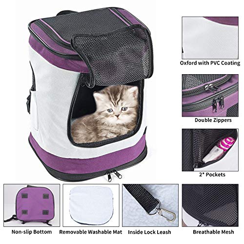 PETTOM Mochila para Perro Gatos Conejo Transpirable Plegable Pet Backpack para Mascotas de Peso hasta 8 kg Transportín con Fondo Rígido Viaje Aero Tren Trekking Bici Moto Verde